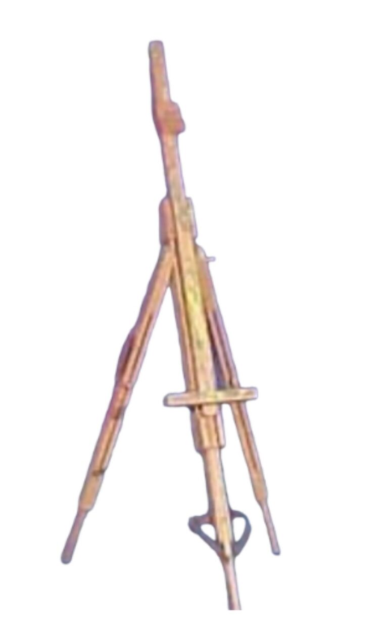 Schildersezel (D466)