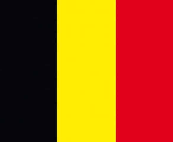 Vlag Belgie (TE74)