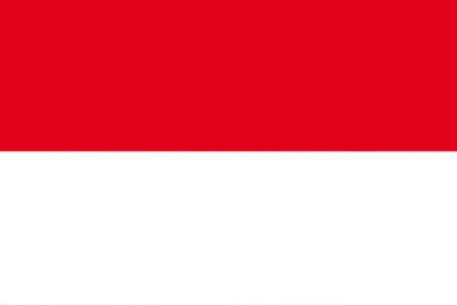 Vlag Indonesie (TE625)